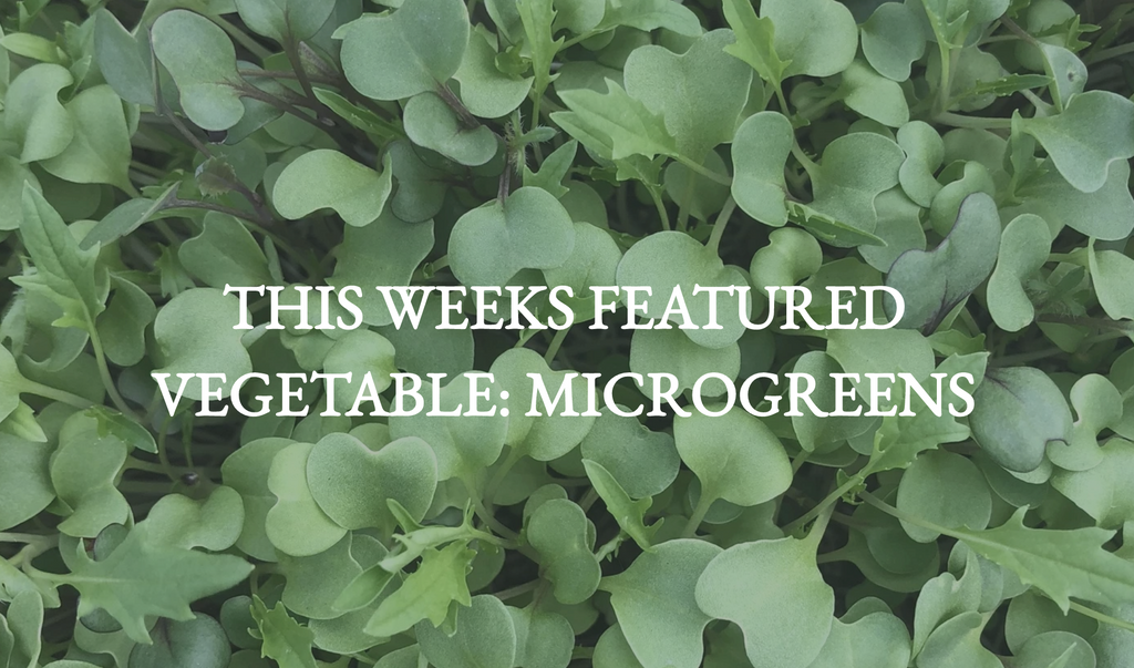 Featured Vegetable: Microgreens