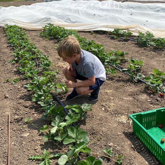 Help defer the cost of the greenhouse
