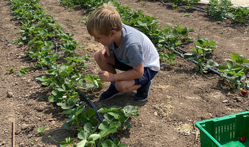 Help defer the cost of the greenhouse