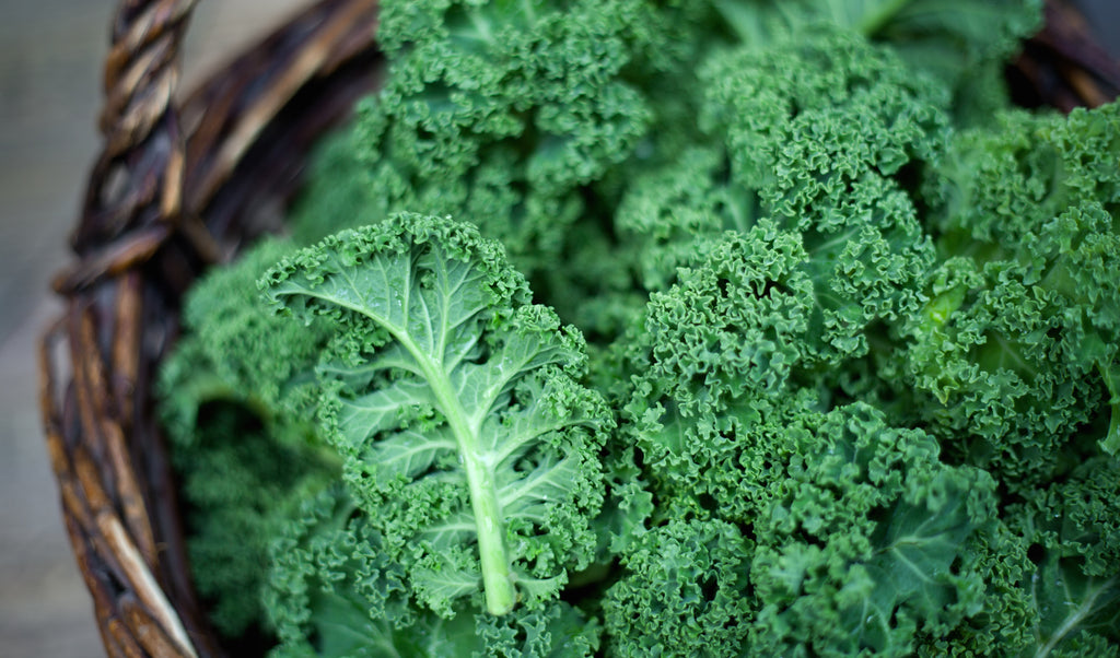 Recipe: Braised Kale with Apple Cider Vinegar