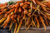 2026 Fall CSA 4 Out of 5 Weeks